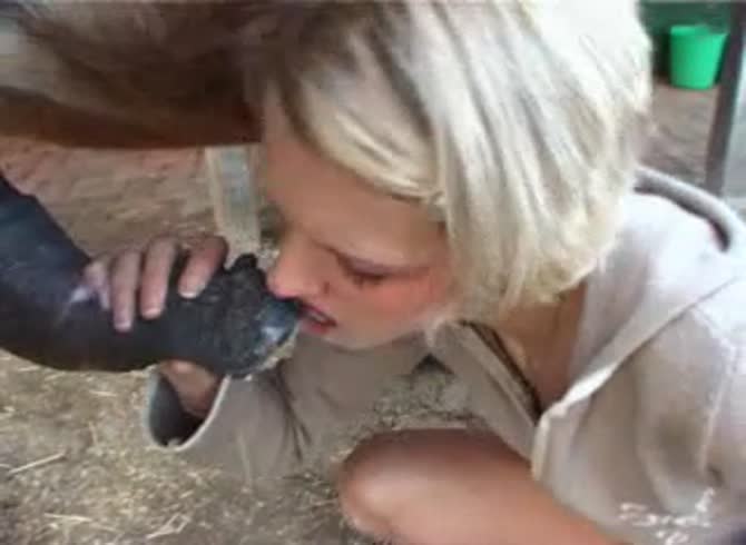 Video :Horny whore sucks horse dick and put it inside her pussy